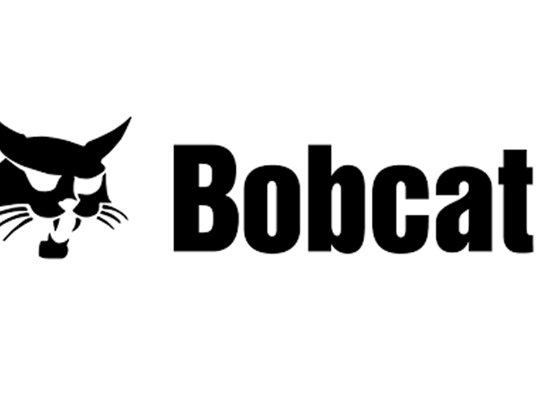 04-bobcat