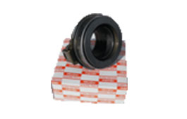 1313100120-Clutch-Bearing